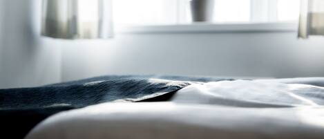 A bed with a dark blanket and a white pillow, positioned in front of a window with a plant on the windowsill.