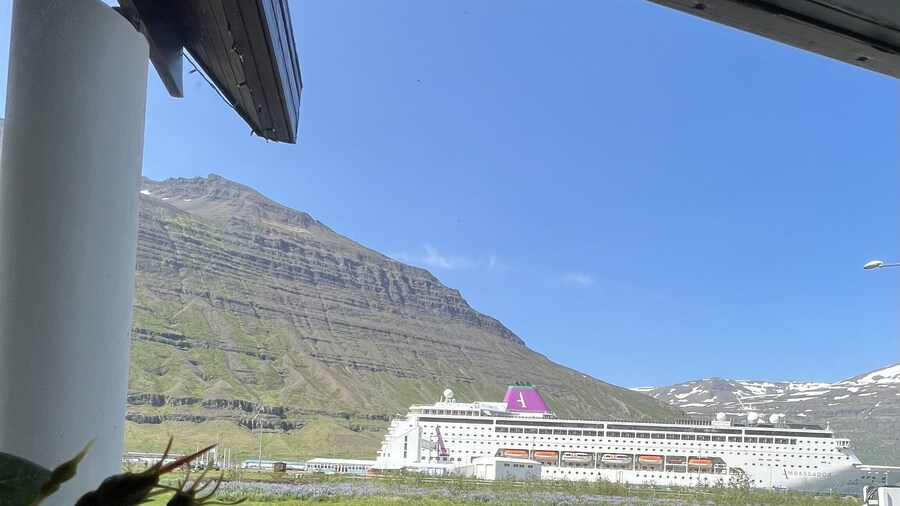 Media Luna Guesthouse