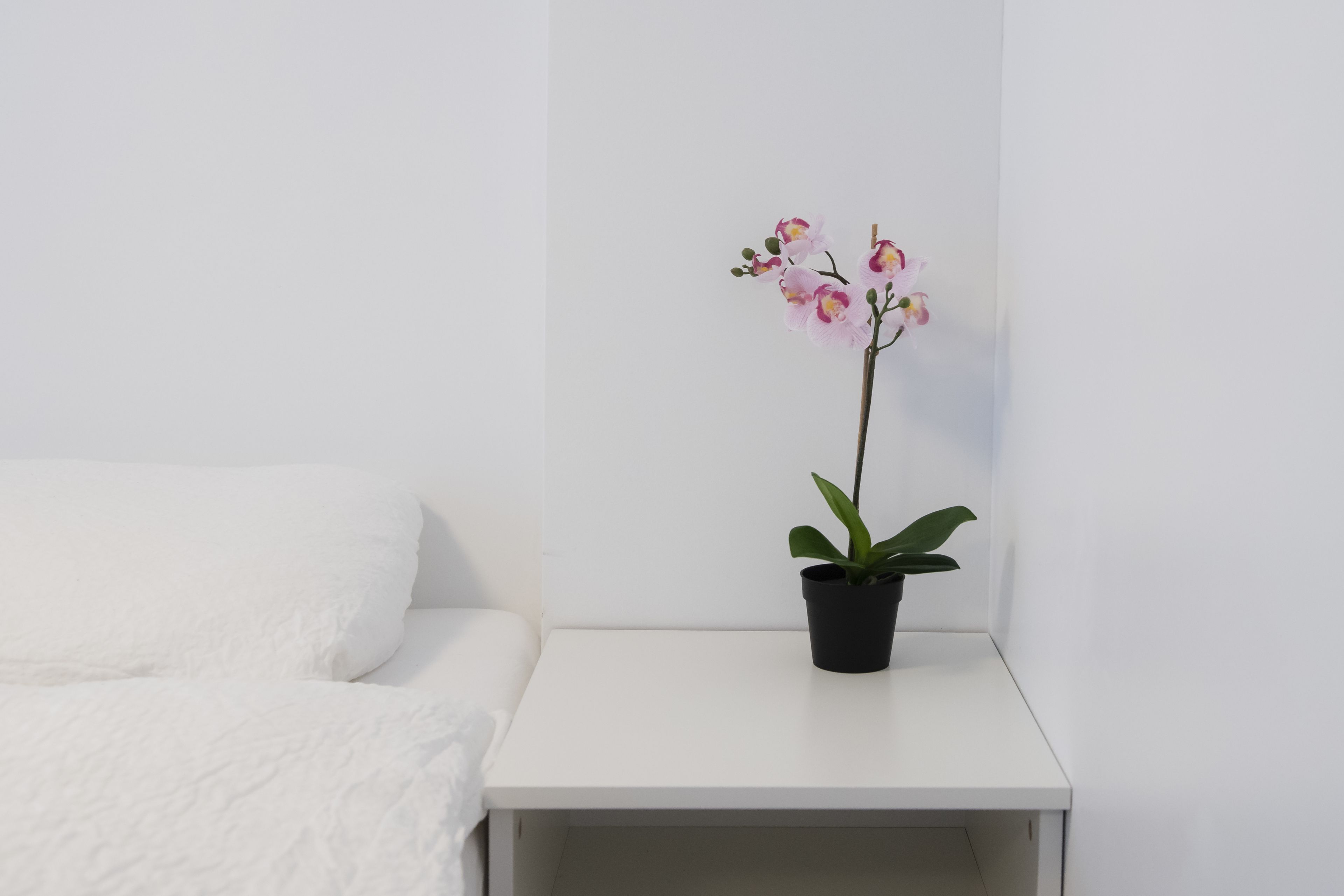 A white bedside table with a potted orchid and a white bed with a textured blanket.