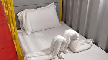 Gold Dormitory Male | Free WiFi