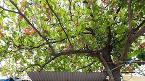 Exterior - Mumbai Backpackers, Andheri MIDC (Mumbai)