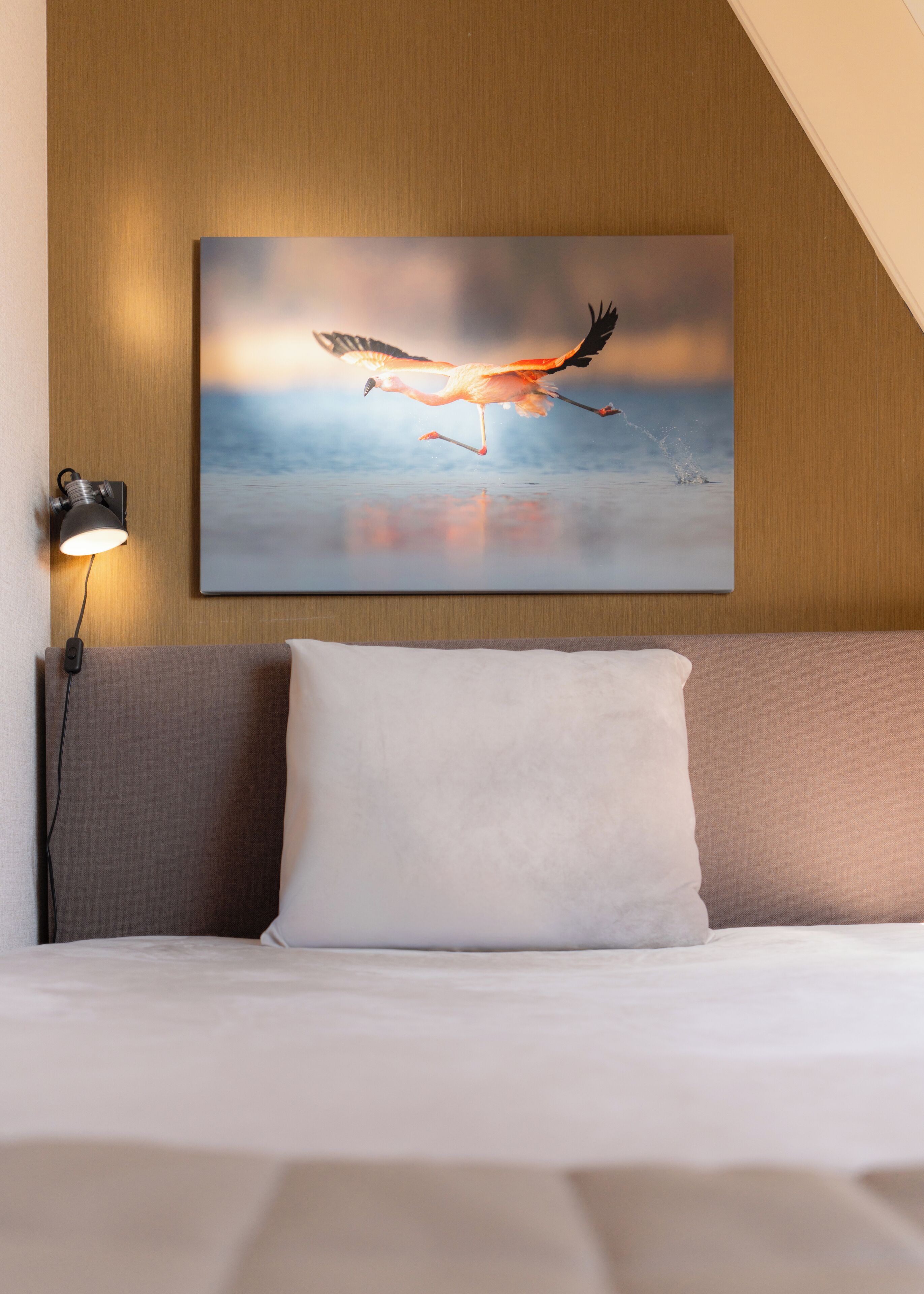 standard single room, 1 single bed, non smoking | premium bedding, select comfort beds, desk, iron/ironing board