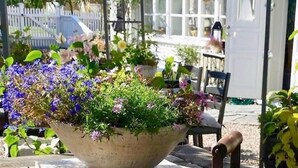 Un jardín con una maceta grande llena de diversas flores y plantas, una silla de madera y una puerta blanca al fondo.