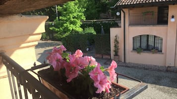 Classic Single Room, 1 Double Bed, Garden View | Garden view
