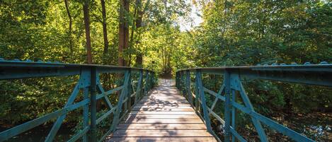 Un puente de madera con barandillas verdes rodeado de abundante vegetación.
