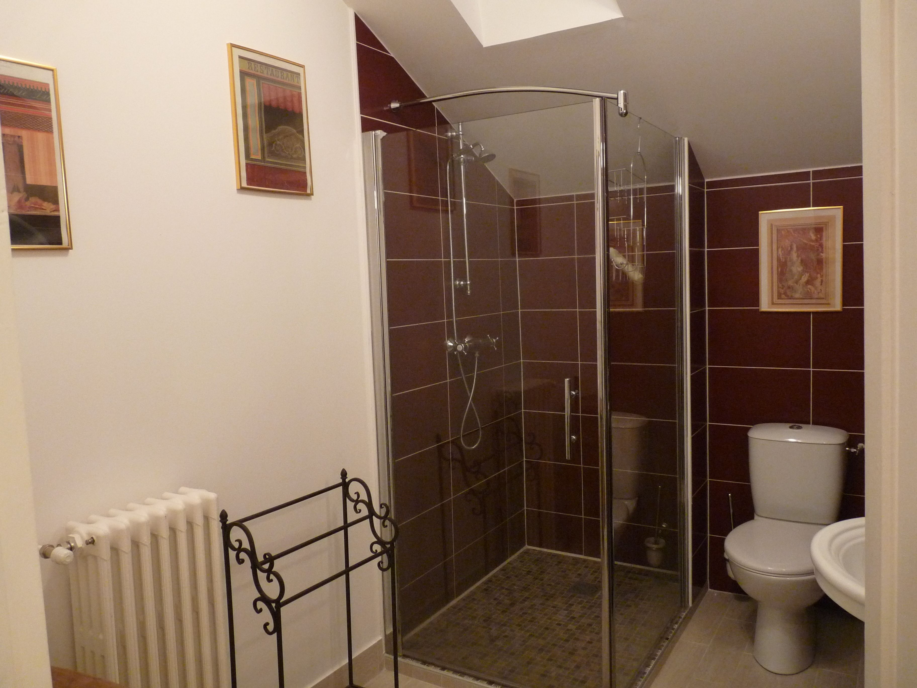 Un baño con ducha de vidrio, inodoro y radiador.