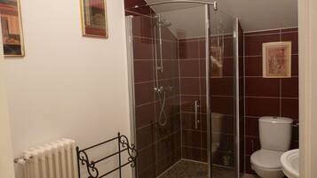 Un baño con ducha de vidrio, inodoro y radiador.