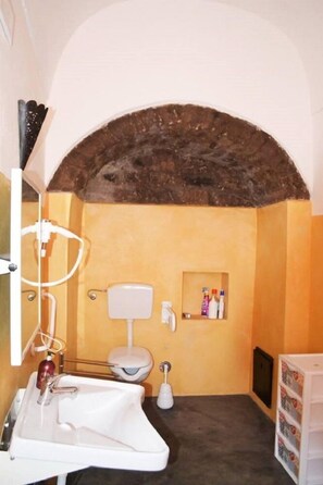 Habitación cuádruple, accesible para personas con discapacidad (Southern Comfort) | Baño | Ducha y cabezal de ducha tipo lluvia