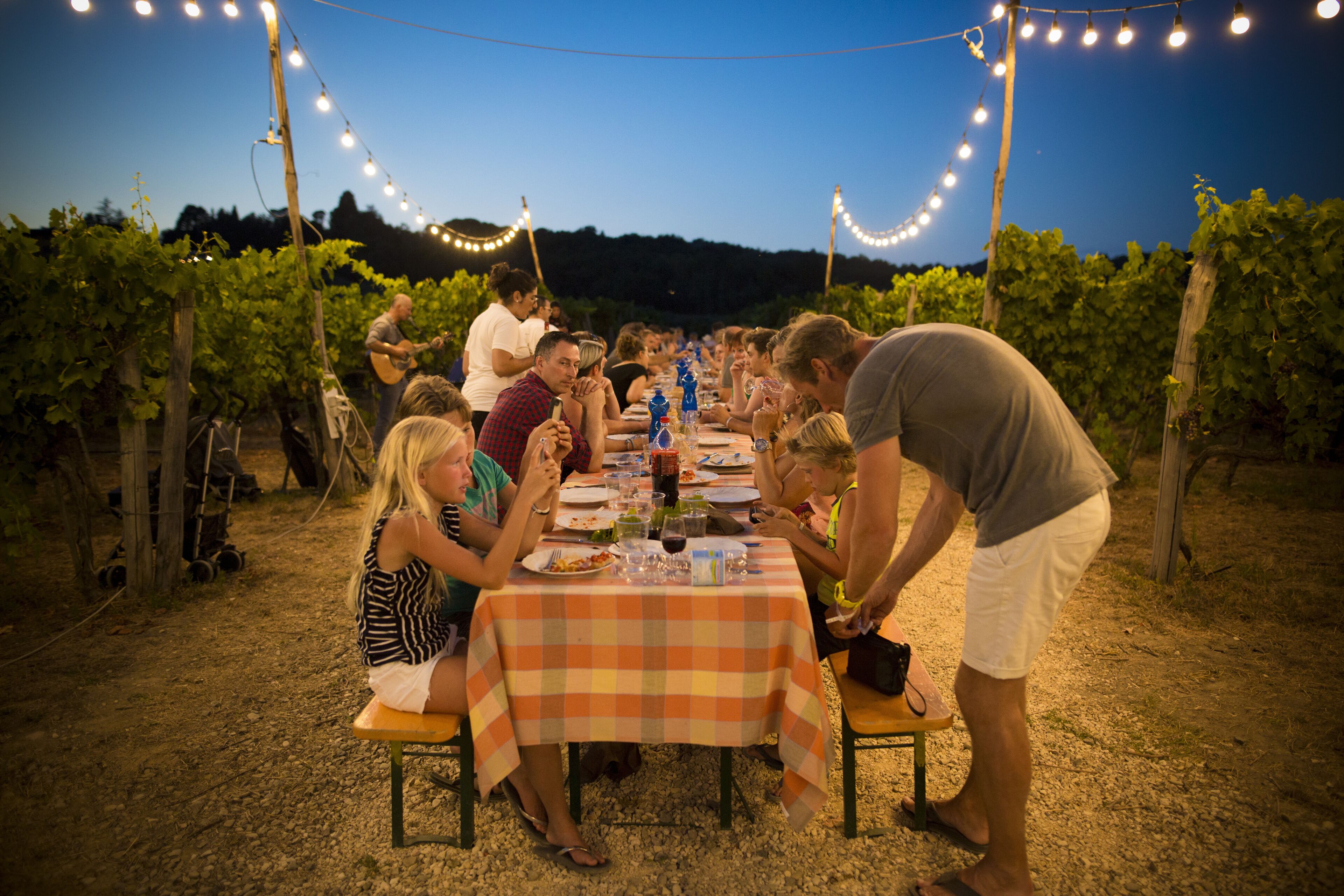 A vineyard setting with a table set for a meal, surrounded by guests.