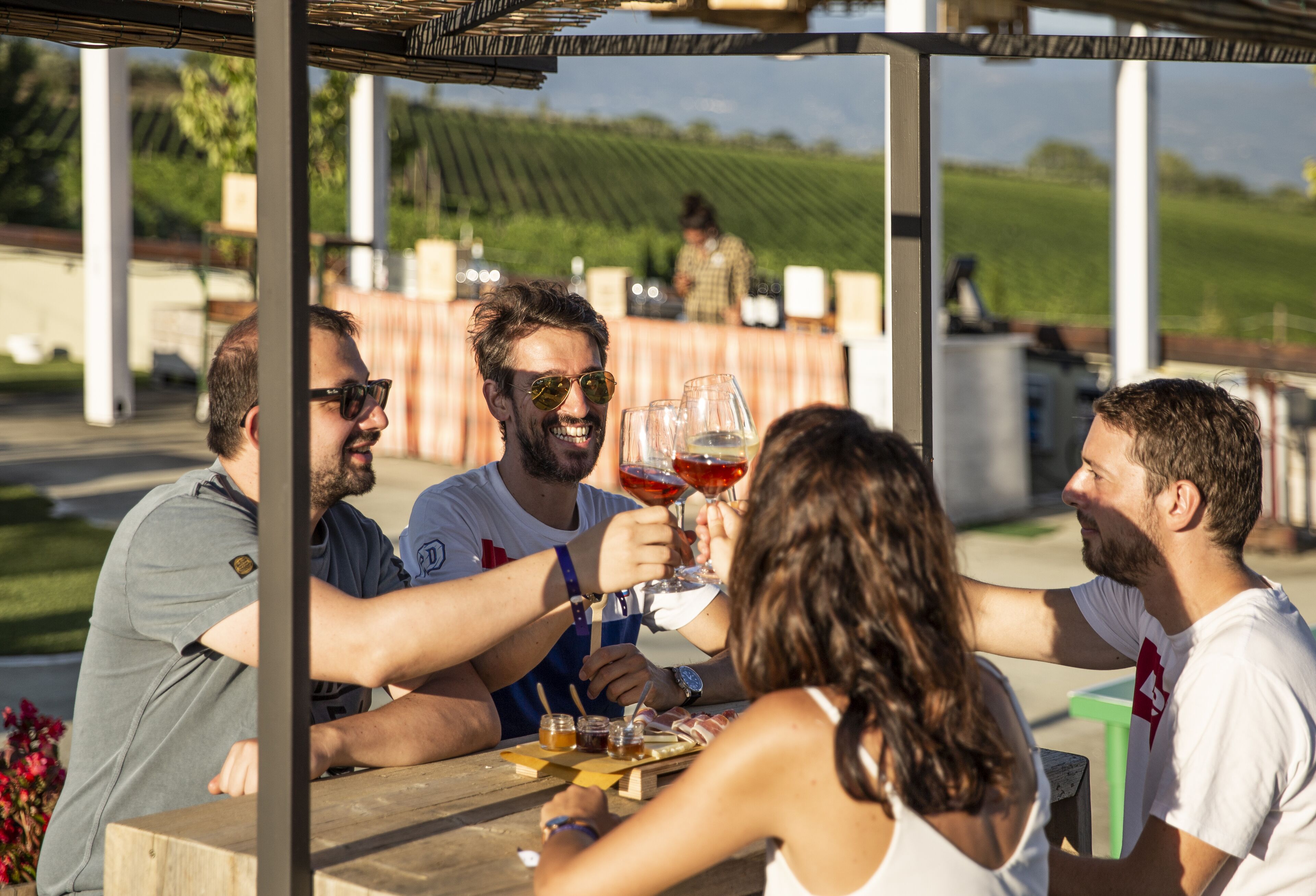 Un groupe de personnes trinquant avec des verres de vin autour d’une table en plein air, avec vue sur un vignoble.
