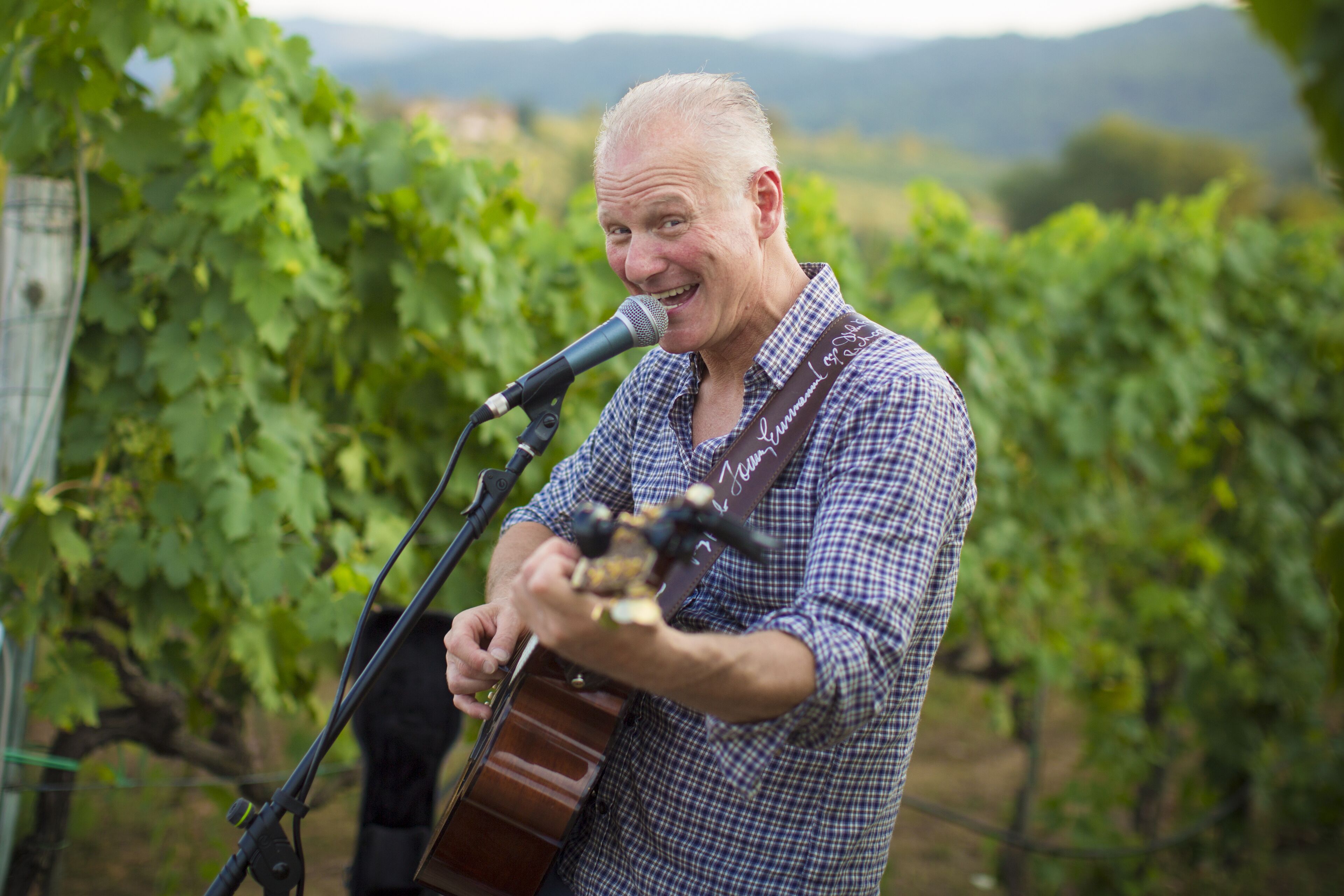 Iemand speelt gitaar in een wijngaard.