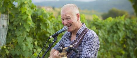 Eine Person spielt Gitarre in einem Weinberg.