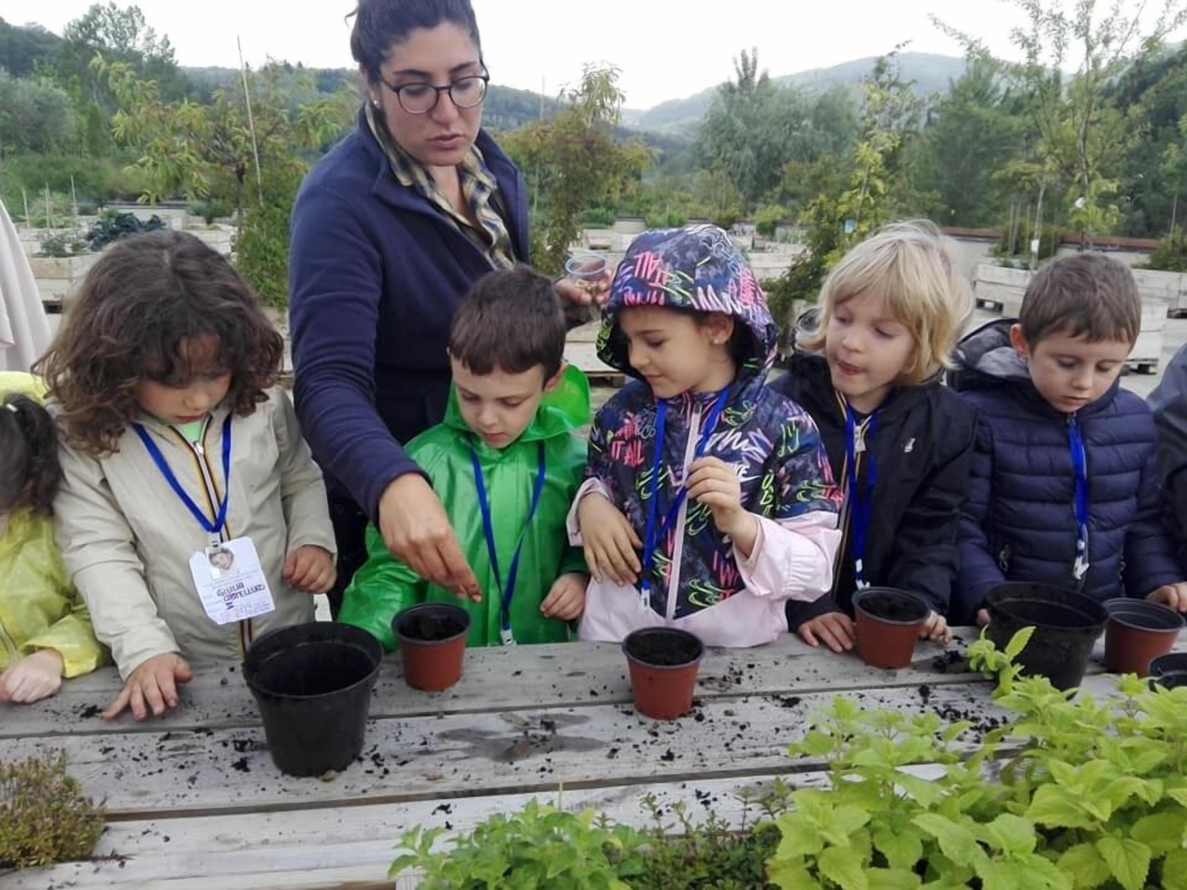 Un grupo de niños plantando plántulas en macetas sobre un banco de madera al aire libre.