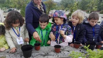 Un grupo de niños plantando plántulas en macetas sobre un banco de madera al aire libre.