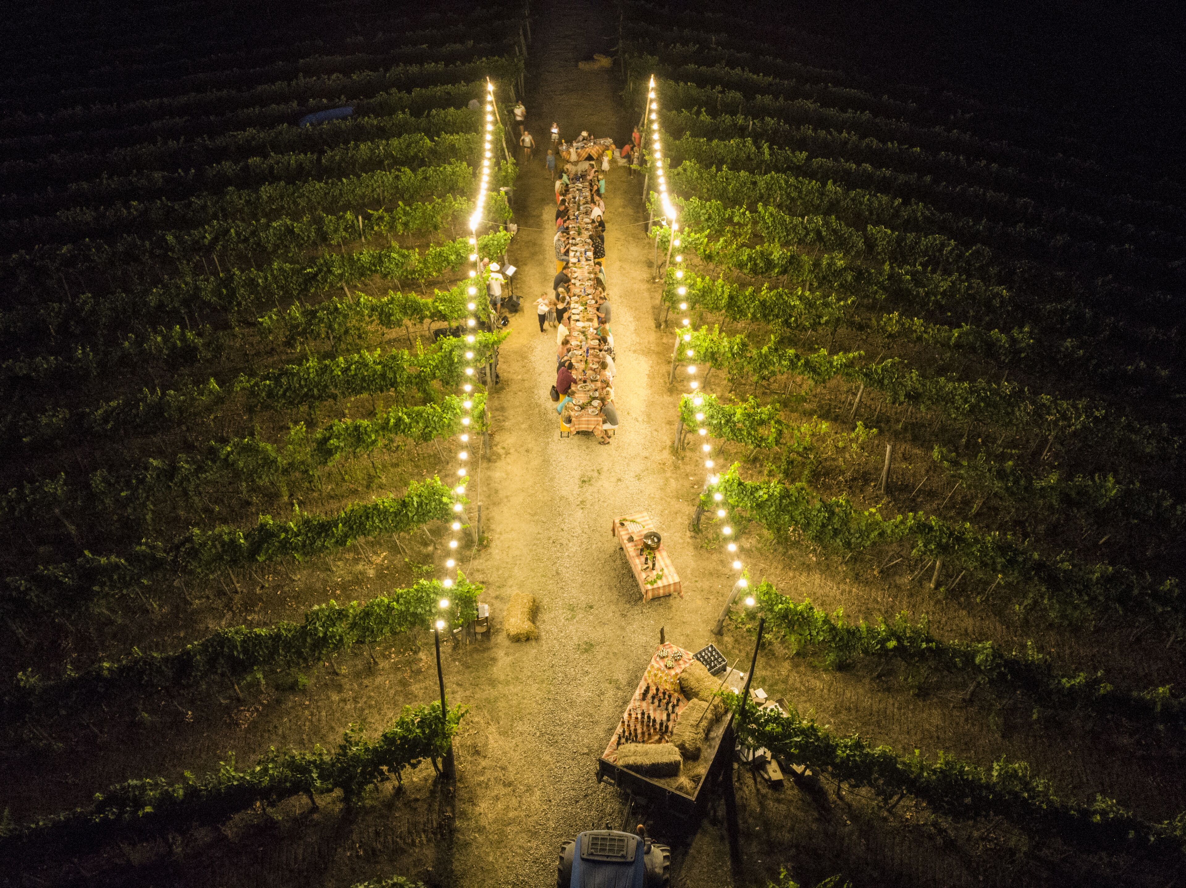 An aerial view of a vineyard with rows of grapevines, tables set up for dining, and a long string of lights along the path.