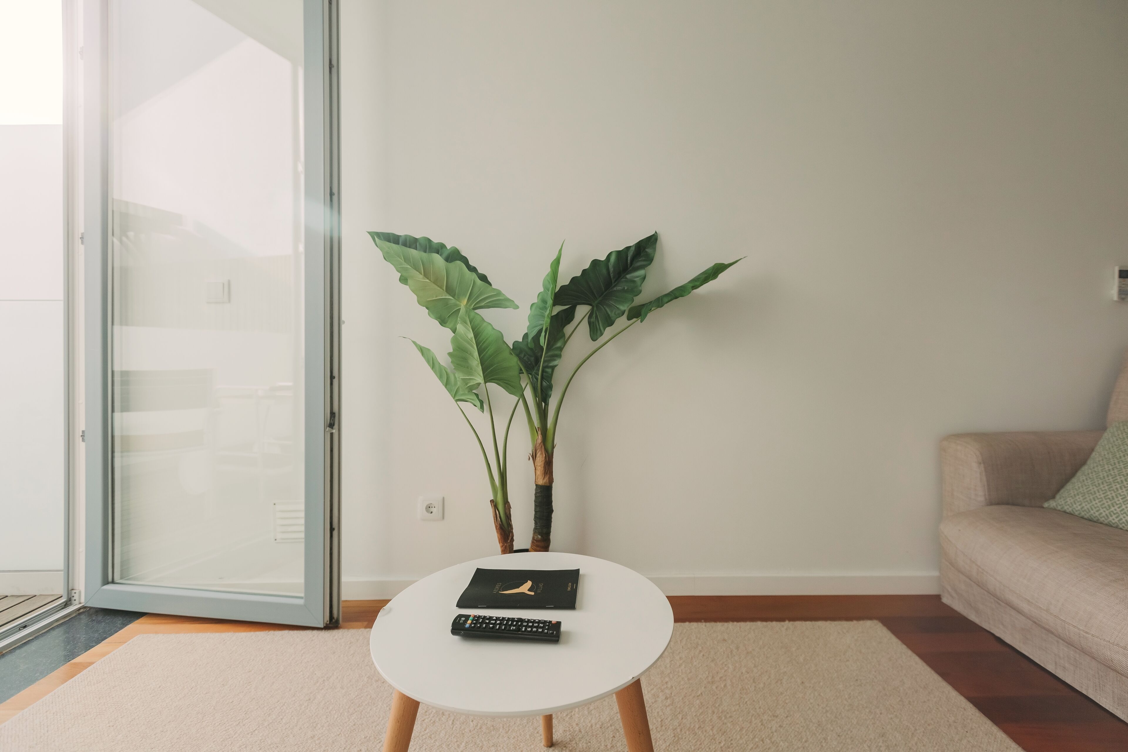 A room with a white round table, a black book, a remote control, and a large green plant.