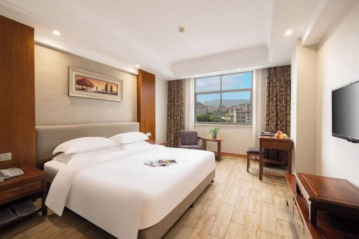 A hotel room with a large bed, a desk, a chair, a small table with a plant, and a TV on the wall.