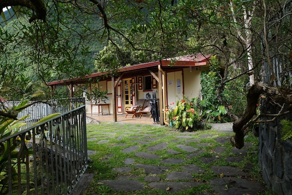 منطقة الاستقبال