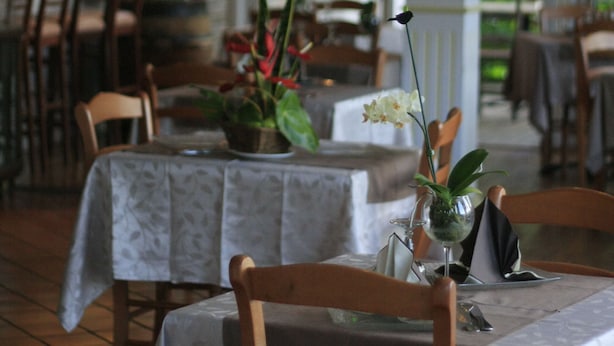 Un restaurante con mesas dispuestas para comer, sillas y plantas en macetas sobre las mesas.
