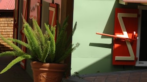 Una planta en maceta frente a un edificio con pared verde y puerta roja.