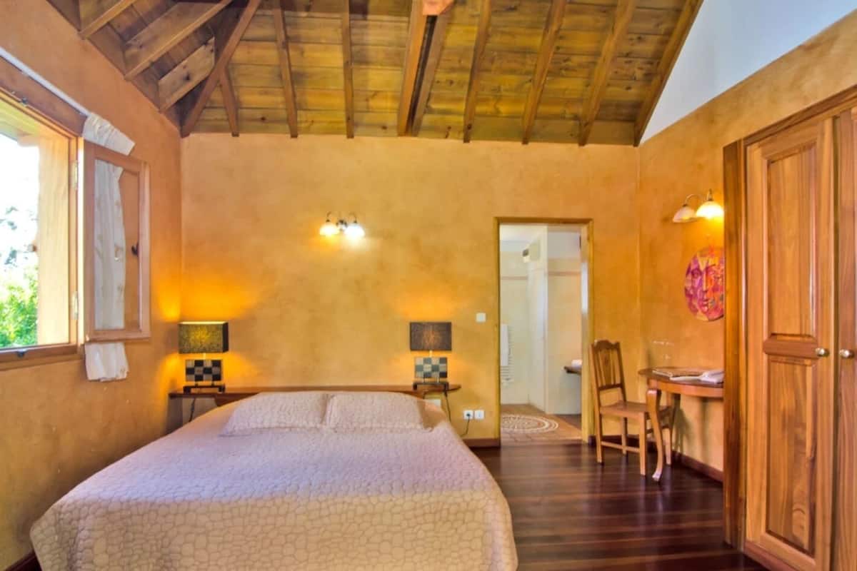 Double Room, 1 King Bed, Non Smoking