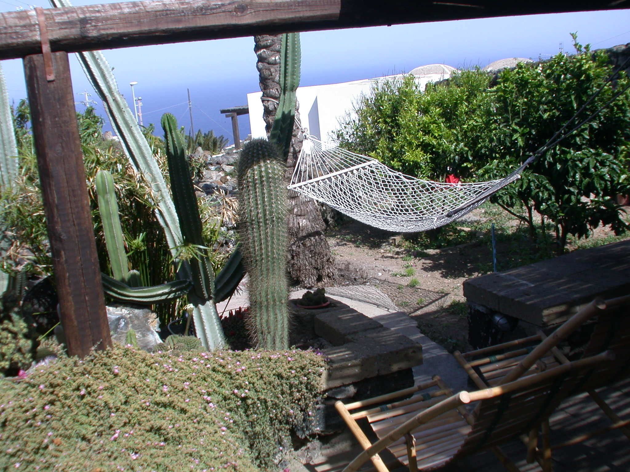 Basic Studio | Garden view