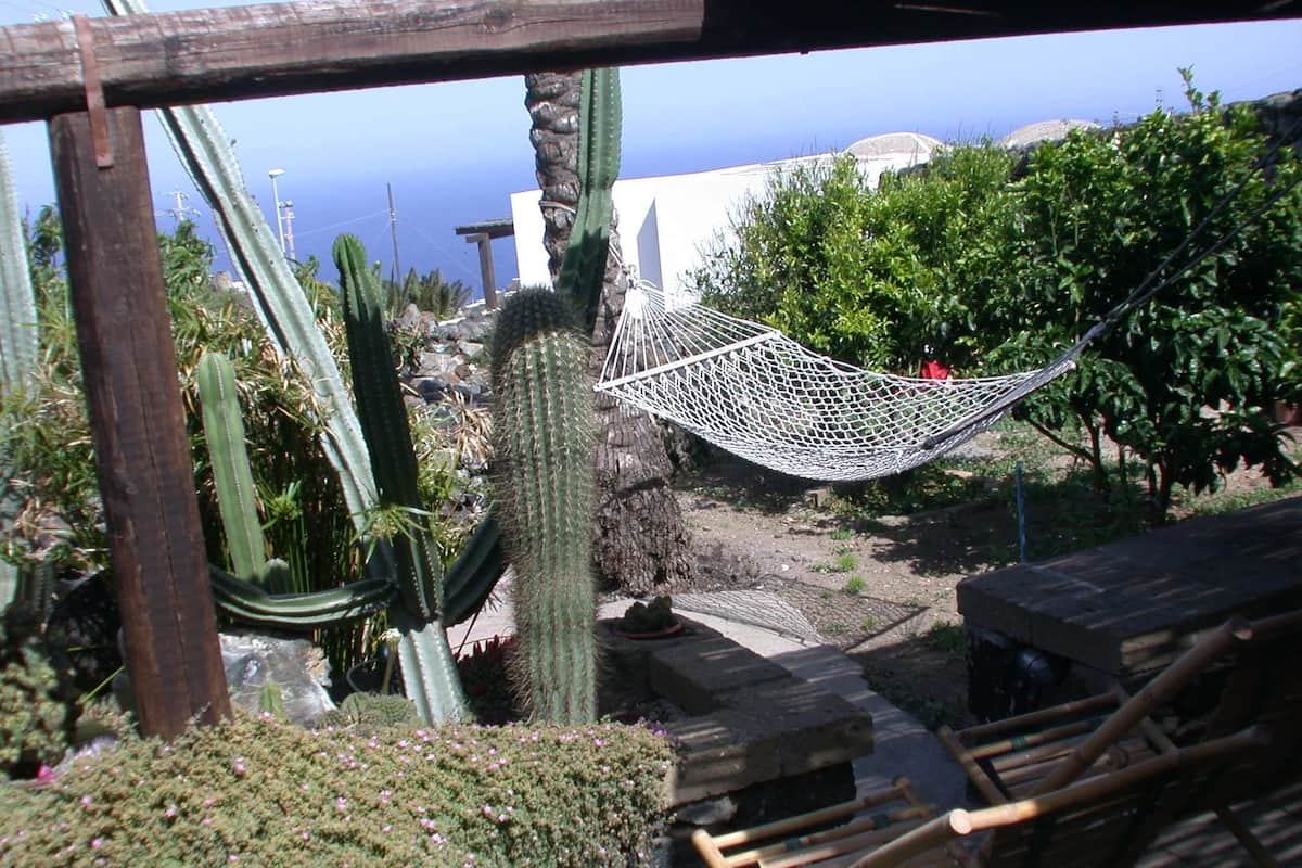 Basic-Studio | Blick auf den Garten
