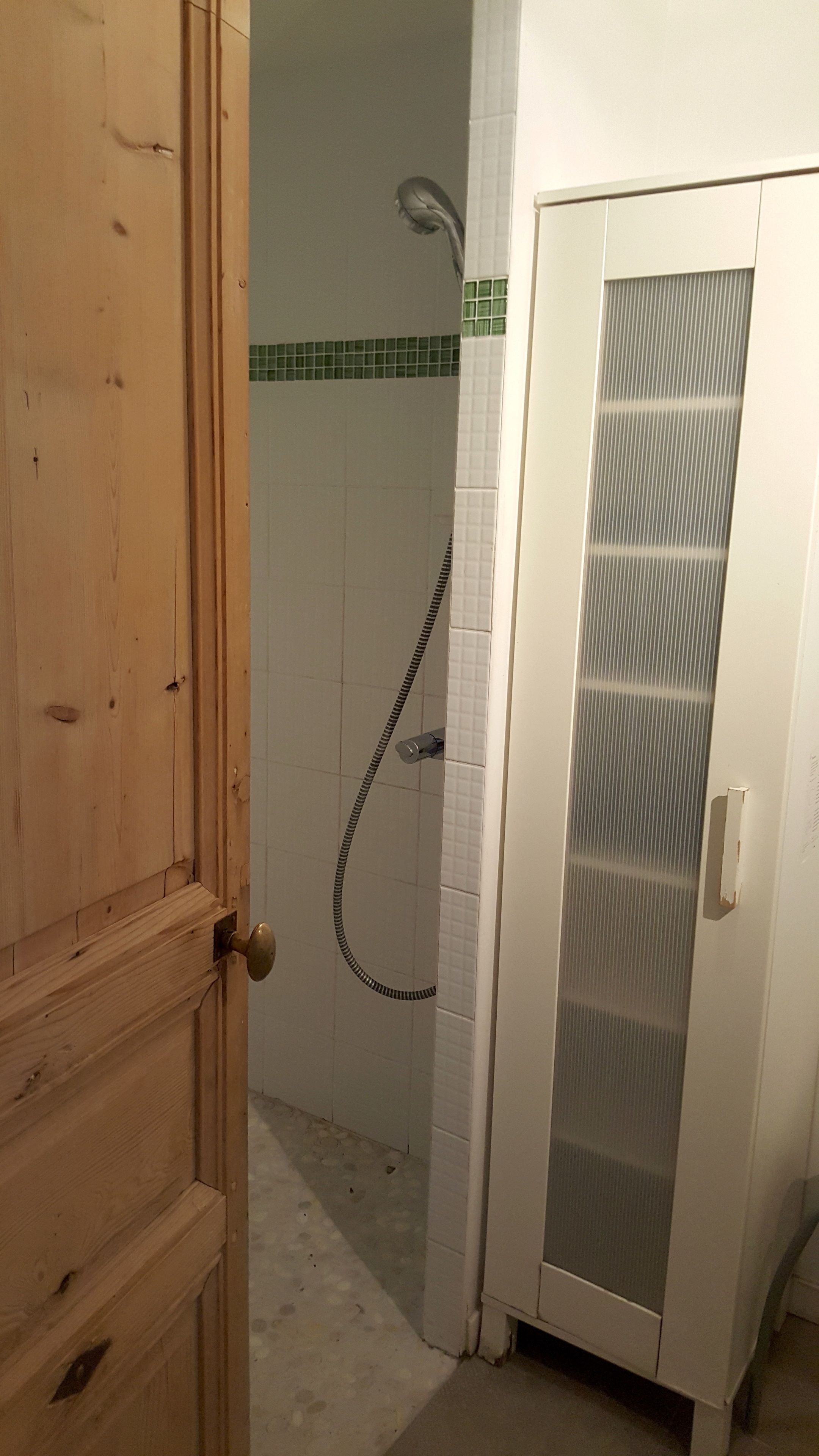 A bathroom with a wooden door, a shower with a hose, and a white cabinet with a frosted glass panel.