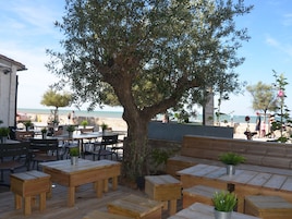 Un espace extérieur aménagé avec des tables et des bancs en bois, entouré d’oliviers et offrant une vue sur la plage.