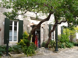 Une cour avec un bâtiment en pierre orné de volets verts, un petit jardin avec différentes plantes et une chaise en métal.