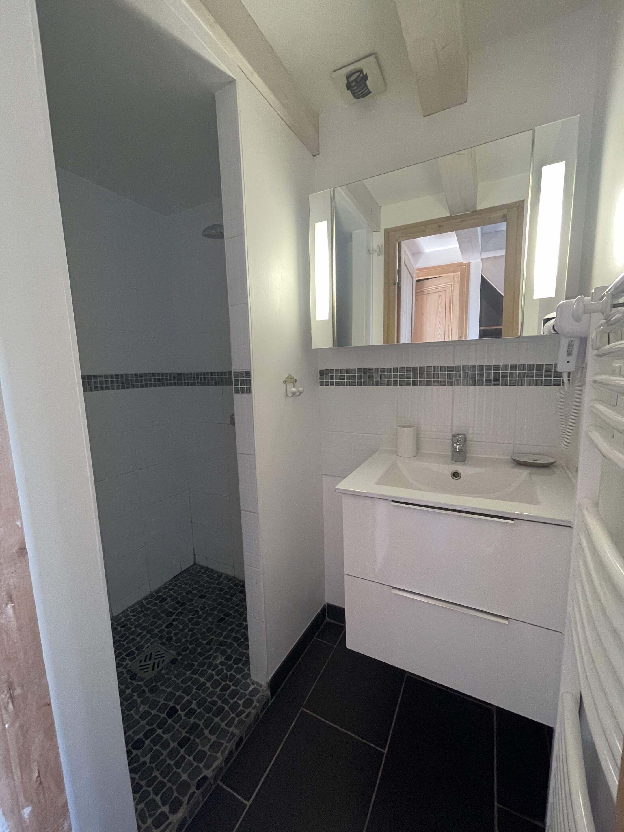 Un baño con ducha, lavabo y espejo.