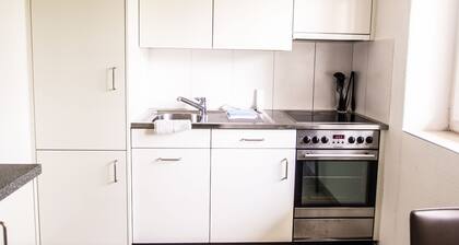 City Stay Apartments Ringstrasse