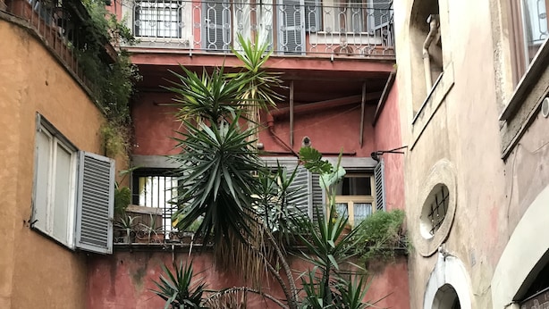 A courtyard with potted plants, a door, and a trash bin.