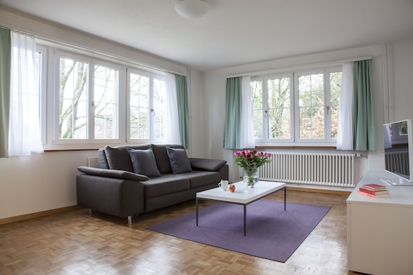 Deluxe Apartment | Living room | Flat-screen TV