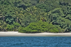 Ecotours