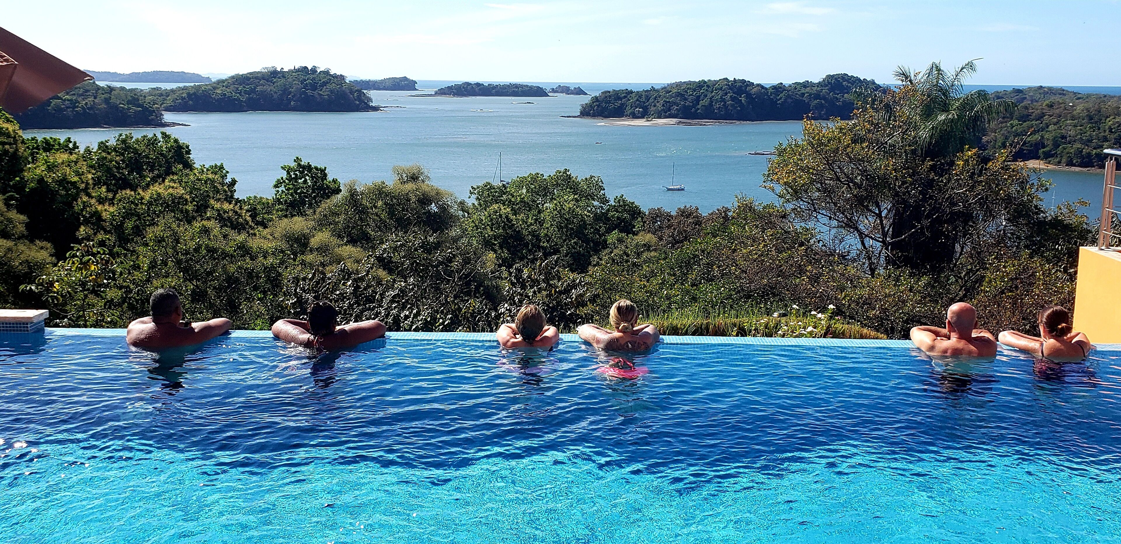 A swimming pool with a view of the sea and surrounding greenery.