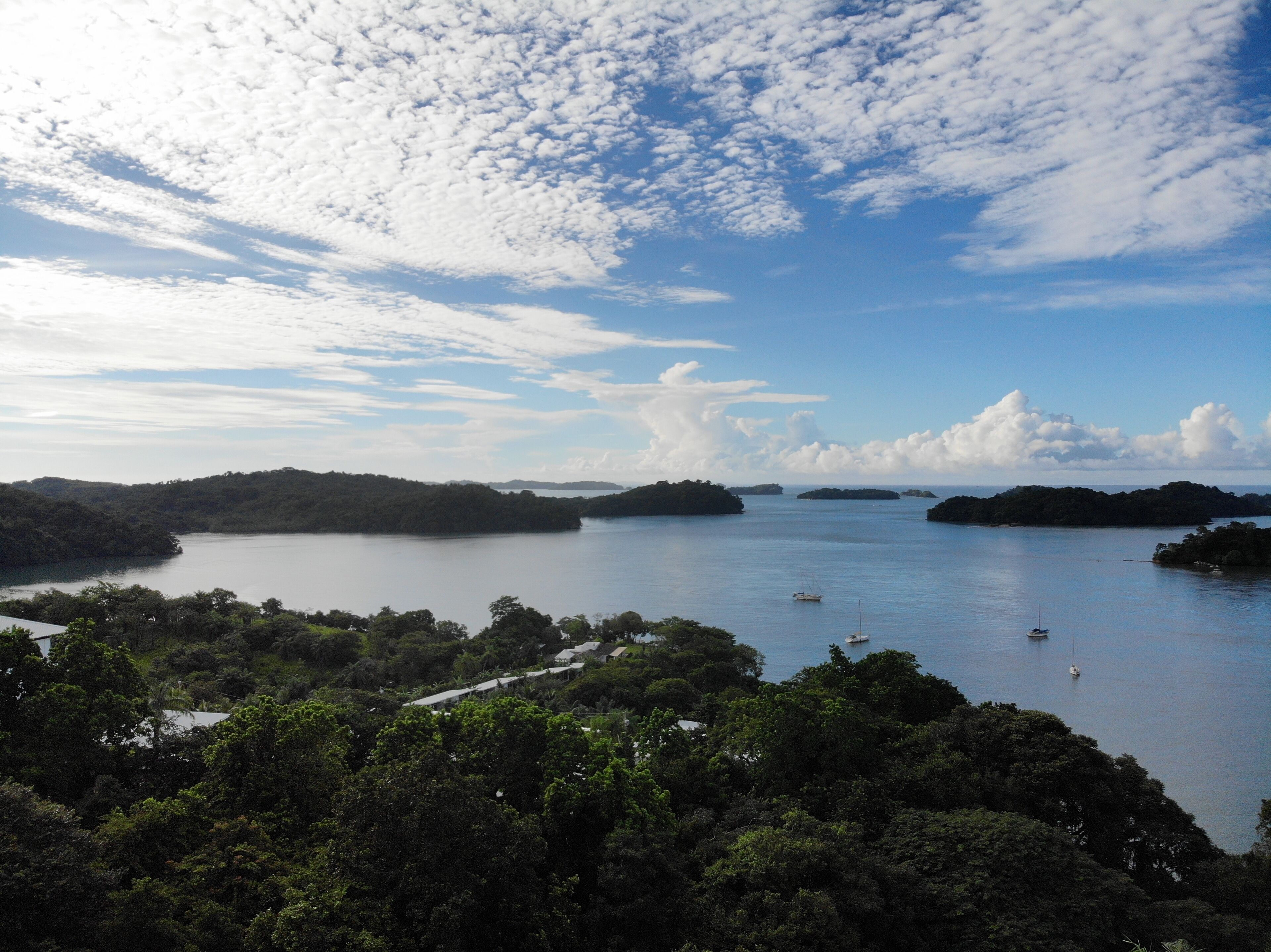 A coastal landscape with a clear sky, calm sea, and dense forest.