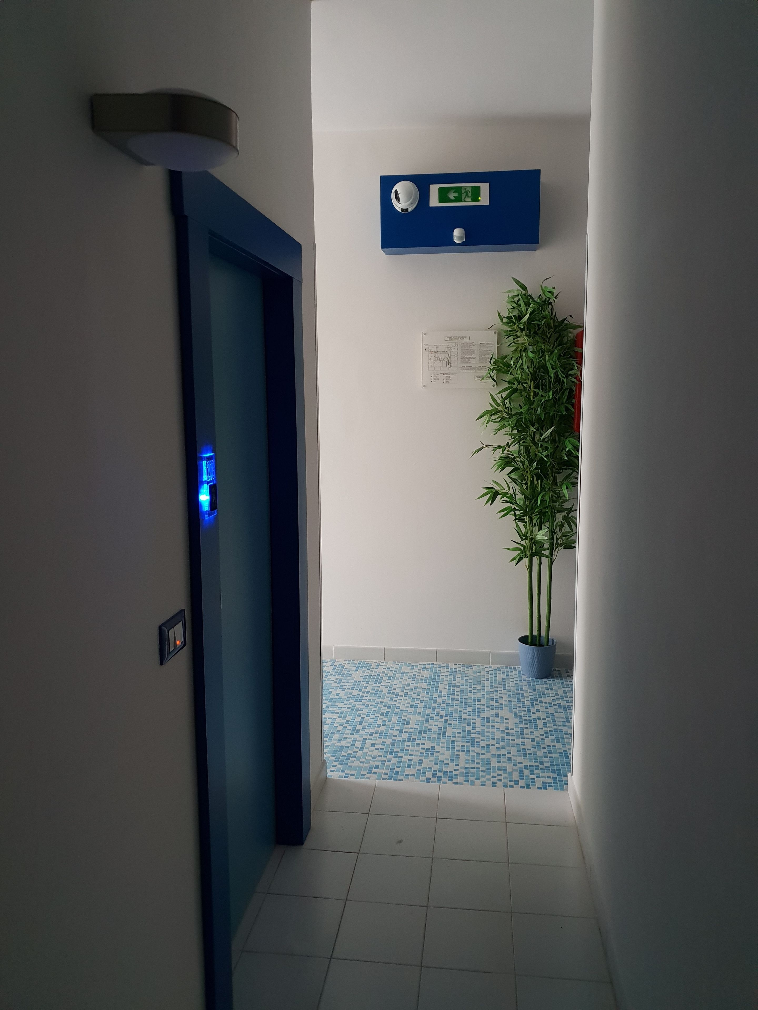 Un couloir avec une porte bleue, un panneau indiquant la sortie de secours fixé au mur, une plante en pot et un sol carrelé.