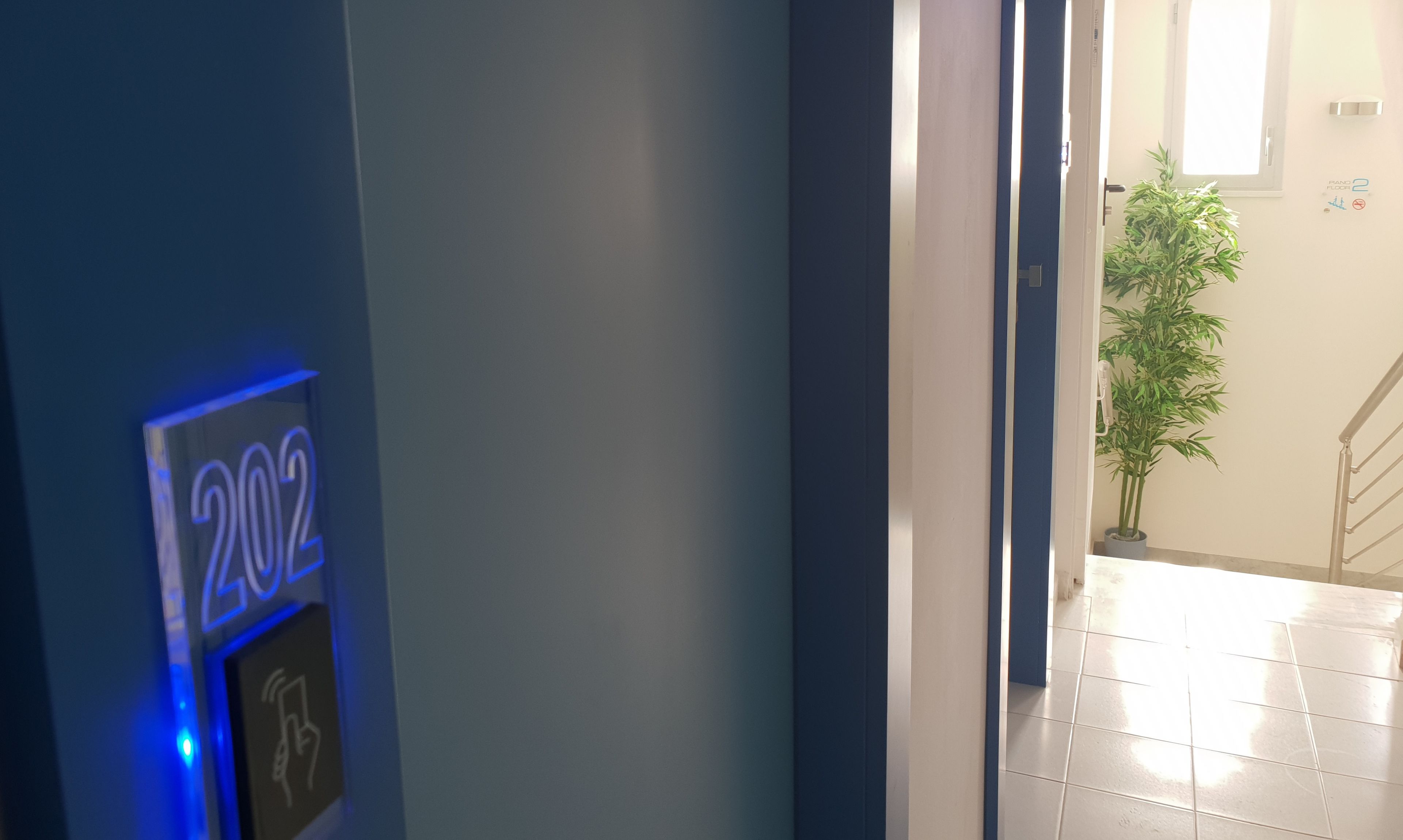 A hallway with a blue wall, a door leading to a room, and a potted plant.