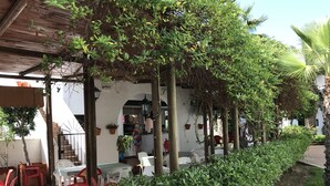 A covered outdoor seating area with tables and chairs, surrounded by greenery and a white building. - Apartamentos Torrelaguna (Vera)