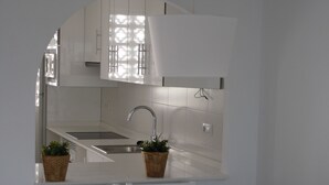 A compact kitchen with white cabinetry, a built-in sink, and two potted plants. - Apartamentos Torrelaguna (Vera)