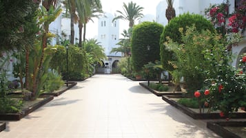 A pathway lined with greenery and palm trees leading to a white building with domed architecture.