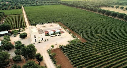 Monteciminiello