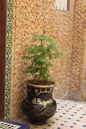 Interior - Dar La Bague De Kenza (Fes)