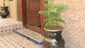 A traditional wooden door with a number plate, a potted plant, and a decorative wall. - Dar La Bague De Kenza (Fes)