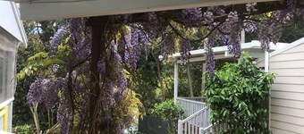 Best location on the mountain! 2 min from Gallery Walk and all place of interest