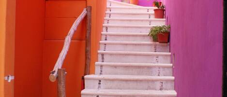 Un escalier aux marches blanches mène à une porte, qui est elle-même entourée de murs orange et roses, et des plantes en pot sont disposées en haut de l’escalier.