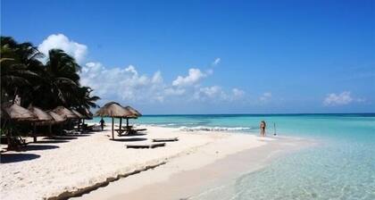 Nueva de 2 dormitorios en el corazón del centro. La ubicación es perfecta, El camino a la Playa Norte!