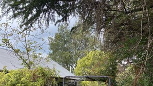 Ein Gartenweg führt zu einem Haus mit einer Pergola aus Metall.