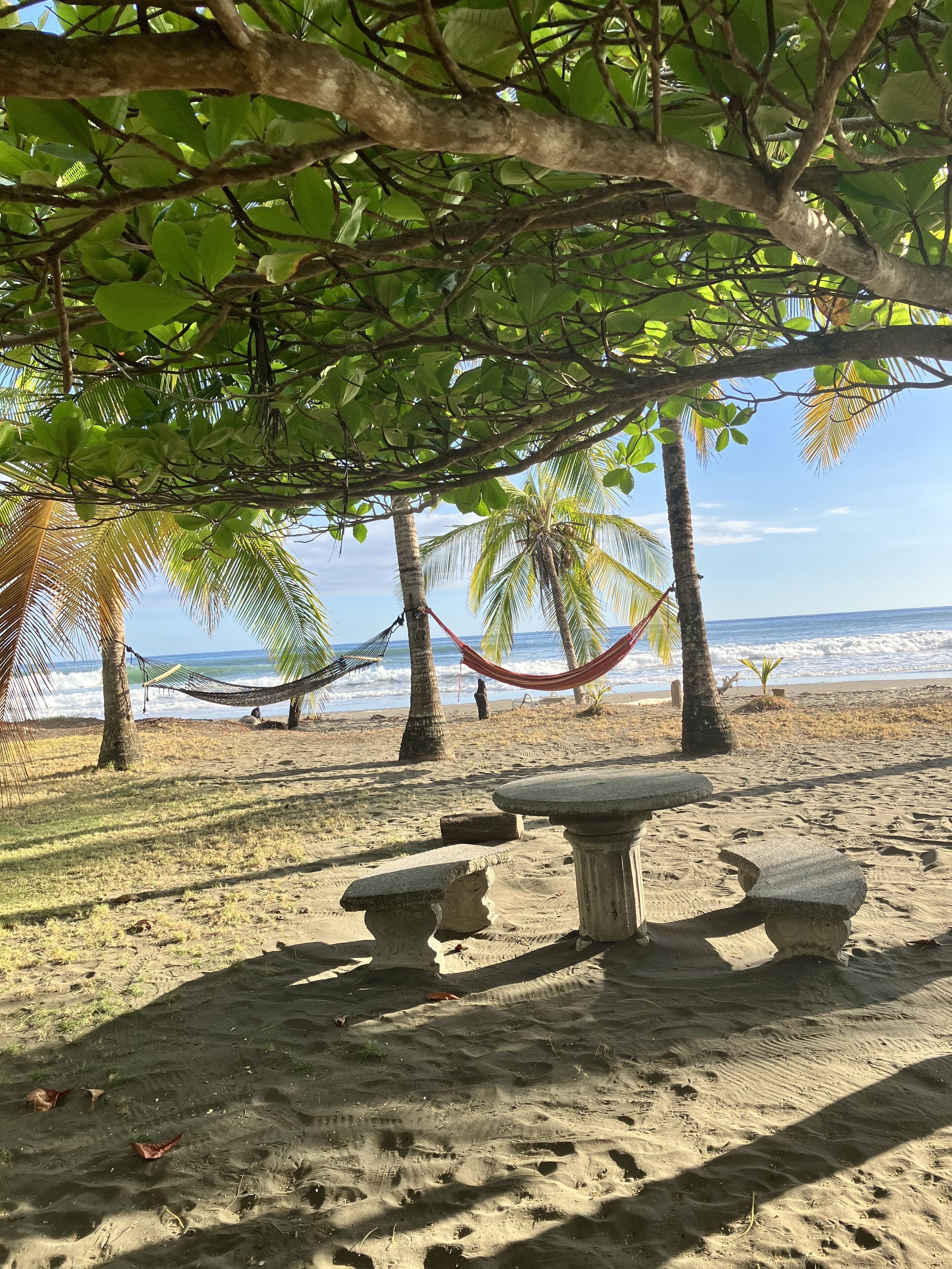 A la platja i tovalloles de platja 